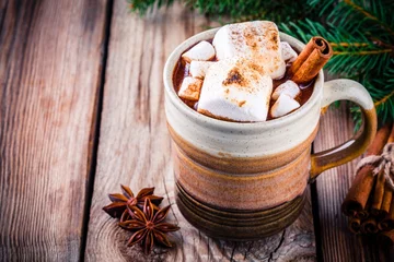 Photo sur Plexiglas Chocolat chocolat chaud aux guimauves et cannelle dans une tasse