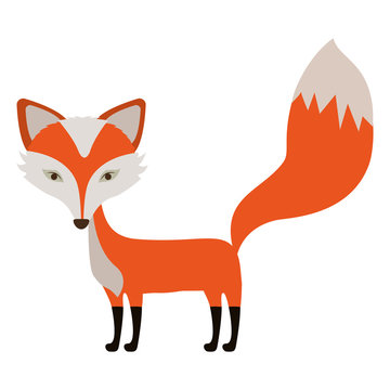 Fox icon. Animal cartoon and nature theme. Isolated and drawn design. Vector illustration