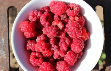 Raspberries