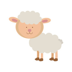 cute sheep icon. Animal cartoon and nature theme. Isolated and drawn design. Vector illustration