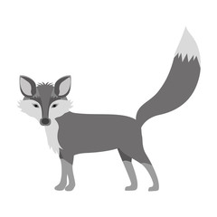 silhouette of Fox icon. Animal cartoon and nature theme. Isolated and drawn design. Vector illustration