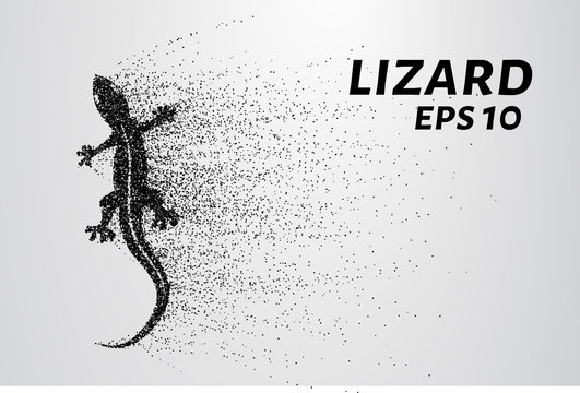 Lizard of particles. The lizard consists of small circles and dots.