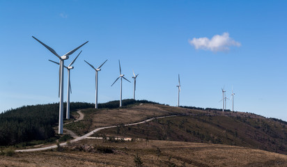 Eolic wind generators