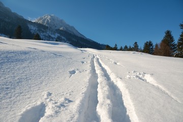 Fototapeta na wymiar Ski track