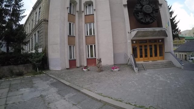 Aerial view of Ternopil children's puppet theatre