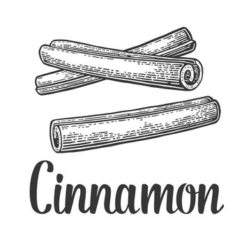 Cinnamon Stick. Vector Black Vintage Engraved