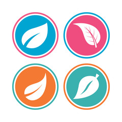 Leaf icon. Fresh natural product symbols. Tree leaves signs. Colored circle buttons. Vector