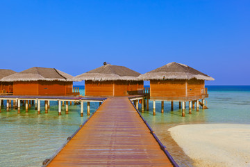 Bungalows on tropical Maldives island