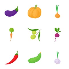 Garden icons set. Cartoon illustration of 9 garden vector icons for web