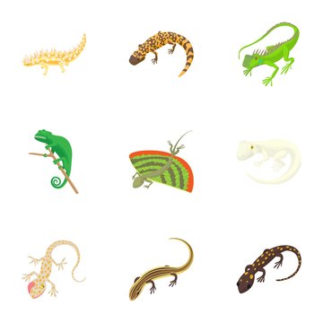 Iguana icons set. Cartoon illustration of 9 iguana vector icons for web