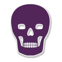 skull icon over white background. danger symbol. vector illustration