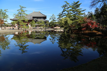 Obraz premium 奈良公園の秋