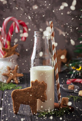 Christmas cookies in shape of deer and milk
