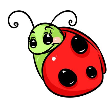 Insect ladybug cartoon illustration isolated image character

