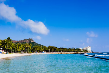 ワイキキビーチ
