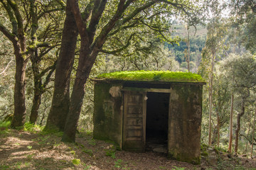 Abandoned old house