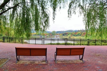 bench