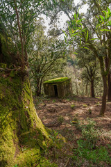 Abandoned old house