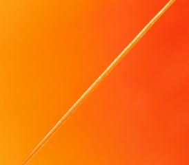 Abstract, closeup on single hair on orange and red blurry backgr