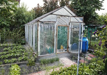 garden homemade greenhouse with cold frame. 