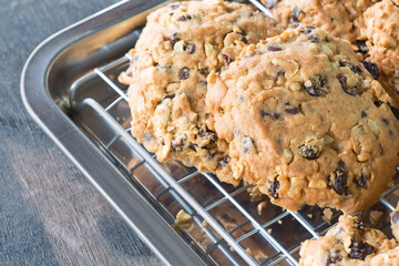 Fresh cookies on a tray rack,cookie close-up shot