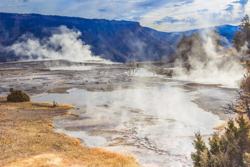 Yellow Stone National Park