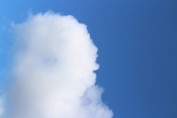 Fluffy cloud in clear blue sky overhead.