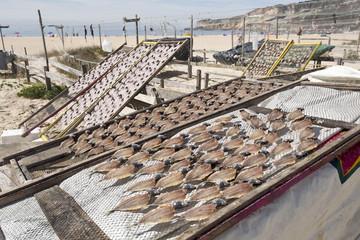 Drying and Selling Fish in Nazare