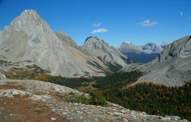 Whistling Ridge with larches