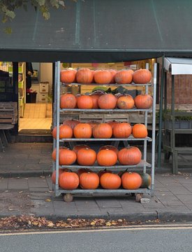 Pumpkins for sale on metal stand