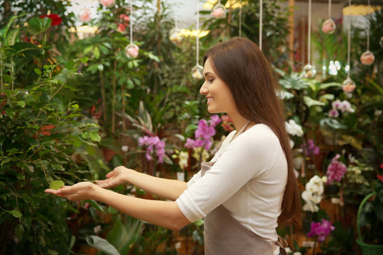 Pretty young florist looking after plants in greenhouse