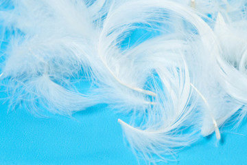 Fototapeta na wymiar White feathers