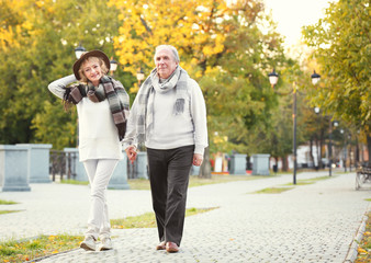 Fototapeta premium Lovely mature couple in autumn park