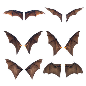 Set of Bat wings isolated on white background