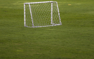 a small goat at a football pitch