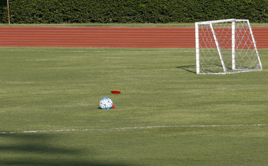 a ball and small goat at a football pitch