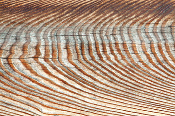 Pine wood plank texture