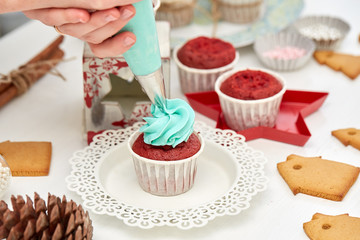 Christmas cupcakes and gingerbreads.