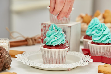 Christmas cupcakes and gingerbreads.