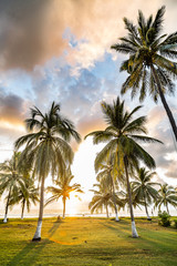 Stormy Jungle Sunset