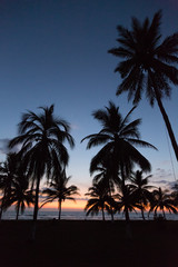 Tropical Beach Sunset