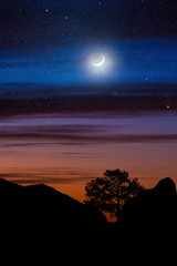 Tree silhouette between hills under night sky and moon - 126599562