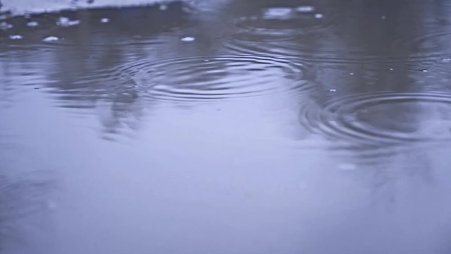 raindrops in a puddle of water splash autumn nature overcast gloomily blue