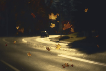 Autumn leaves falling along the road with car driving away - 126601392