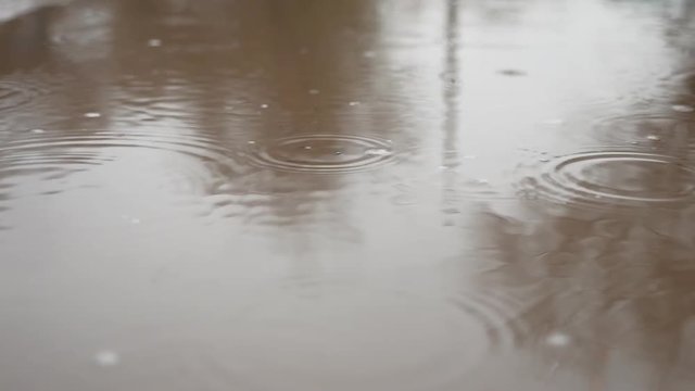 raindrops in a puddle of water splash autumn blue nature overcast gloomily