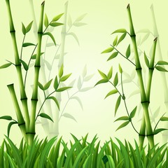 Bamboo background with grass
