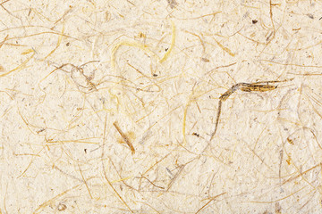 closeup mulberry paper for background
