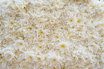 Colorful flowers background for sale at the wholesale flower mar