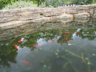 garden centre retail plant nursery for gardeners and gardening