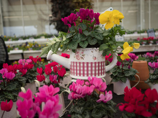 garden centre retail plant nursery for gardeners and gardening
